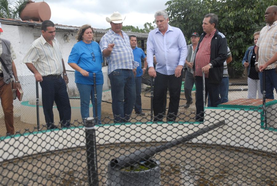 sancti spiritus, miguel diaz-canel bermudez, agricultura, jovenes, universidad de sancti spiritus jose marti, educacion