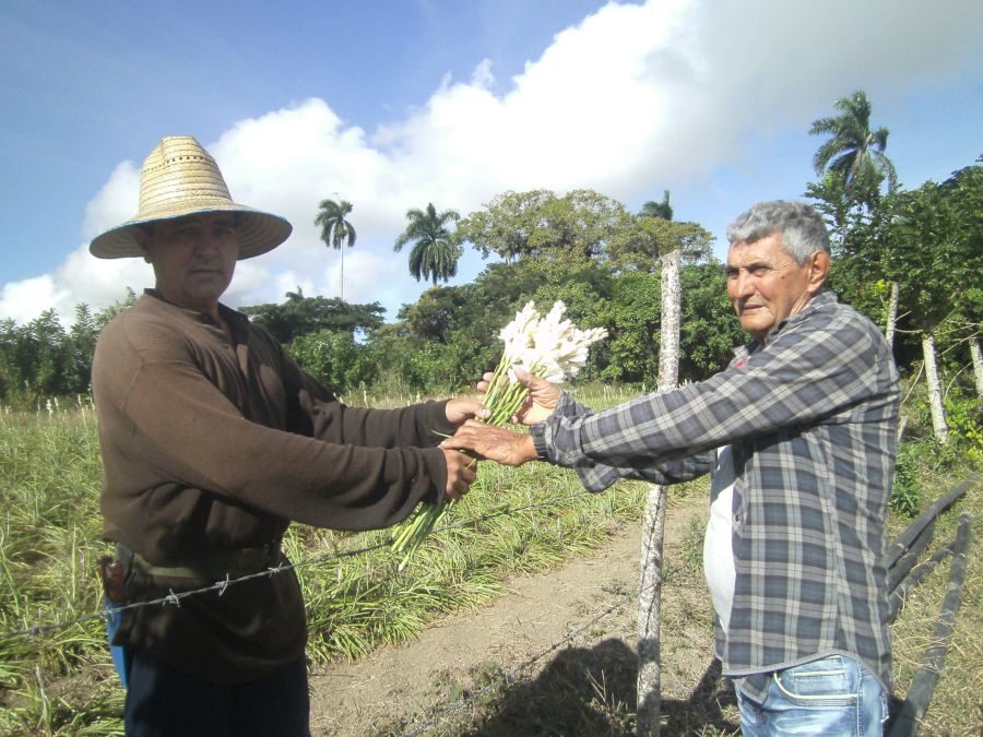 sancti spiritus, fidel castro, flores, comandante en jefe, lider de la revolucion cubana