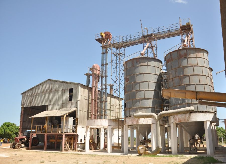 sancti spiritus, la sierpe, arroz, arrocera sur del jibaro