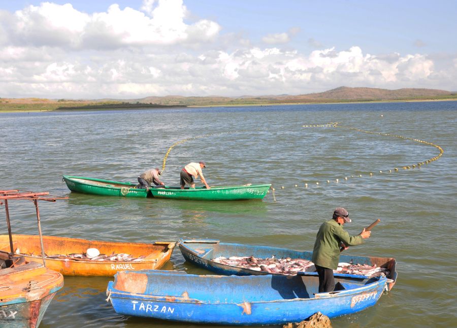 sancti spiritus, acuicultura, presa lebrije, pescaspir