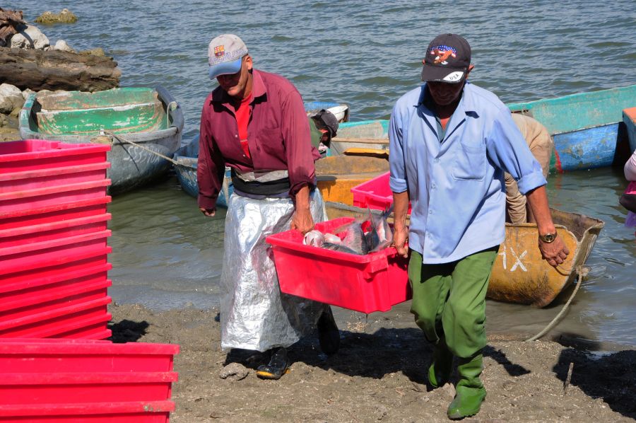 sancti spiritus, acuicultura, presa lebrije, pescaspir