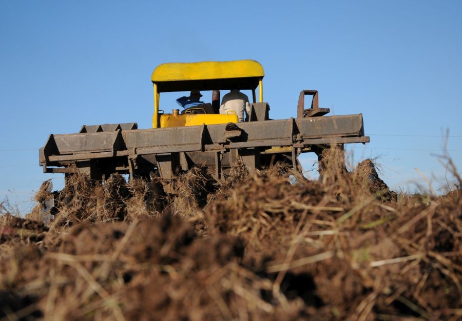 sancti spiritus, marabu, agricultura