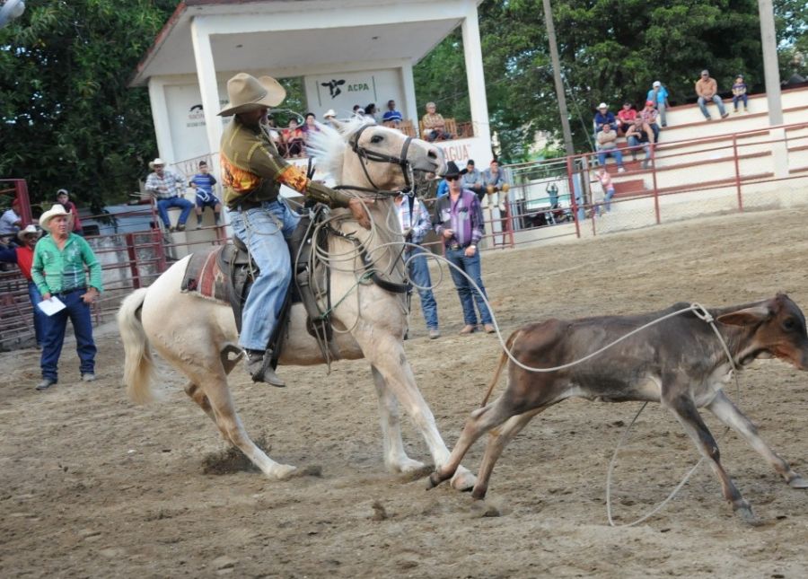 sancti spiritus, feria ganadera, parque de ferias delio luna ehemendia