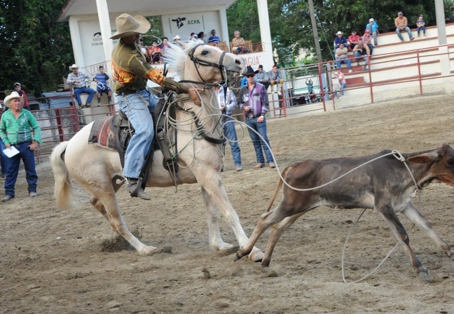 sancti spiritus, feria ganadera, parque de feria delio luna echemendia