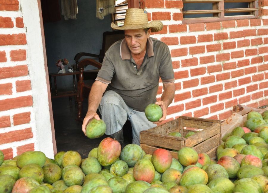 sancti spiritus, frutas, trinidad