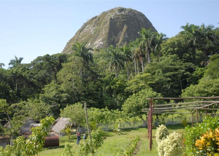 sancti spiritus, boscosidad, unidad territorial de flora y fauna