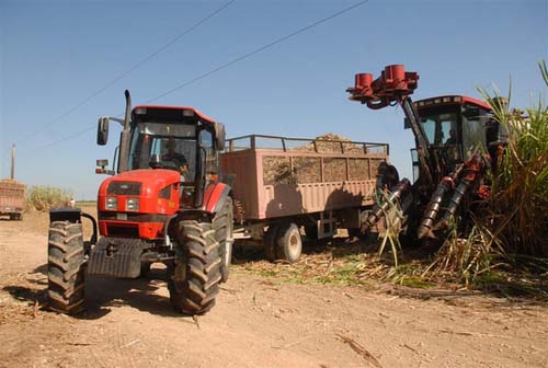 La baja productividad de las combinadas CASE en los cortes, resulta una de las cuestiones a resolver.