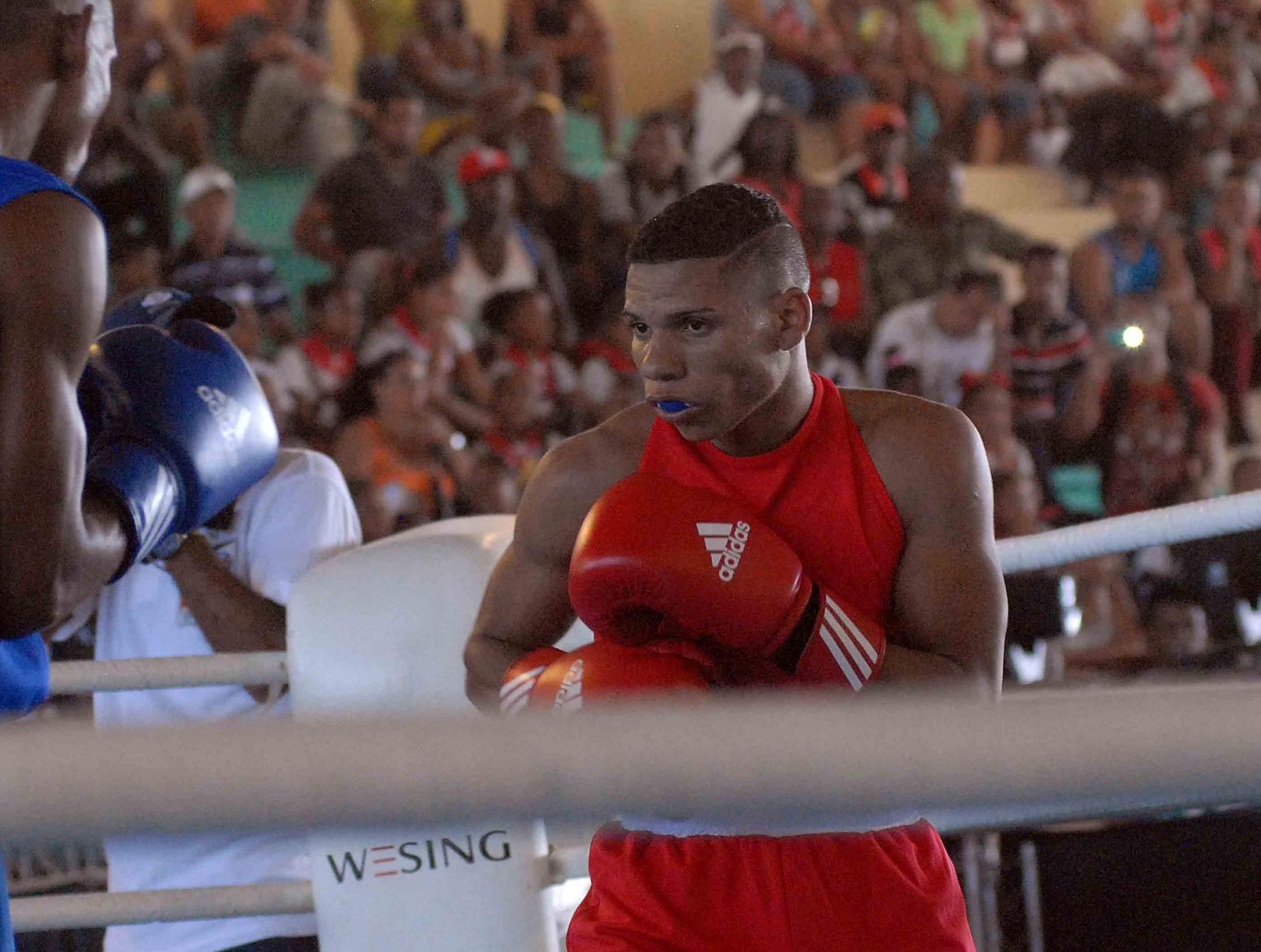 cuba, serie mundial de boxeo, domadores de cuba, yosbany veitia,