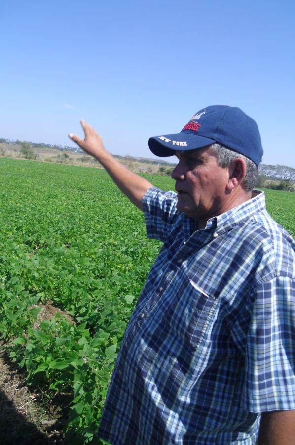 sancti spiritus, produccion de alimentos, agricultura, acopio