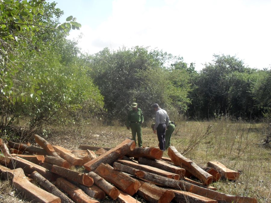 sancti spiritus, guardabosques, forestales, policia nacional revolucionaria