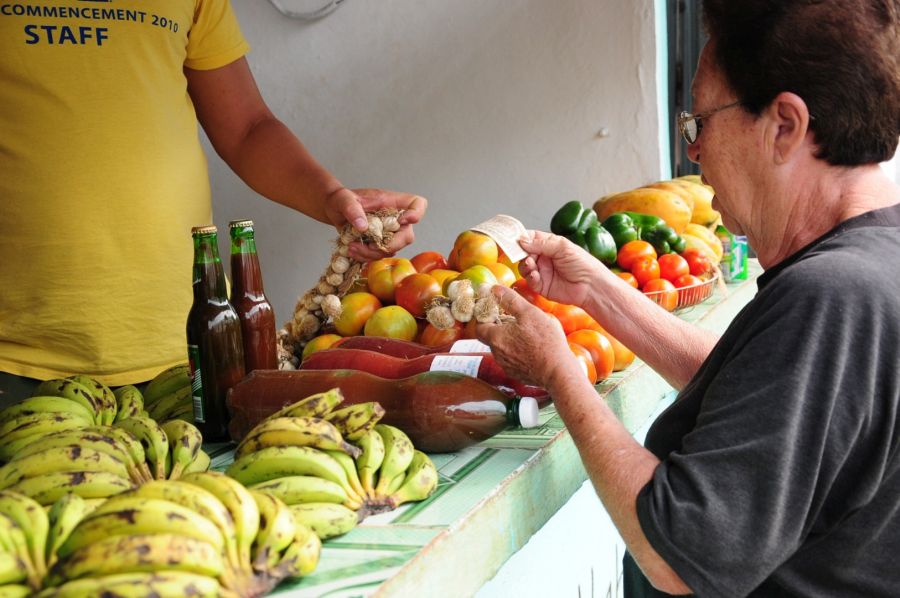 sancti spiritus, agricultura, acopio, revendedores, comercializacion