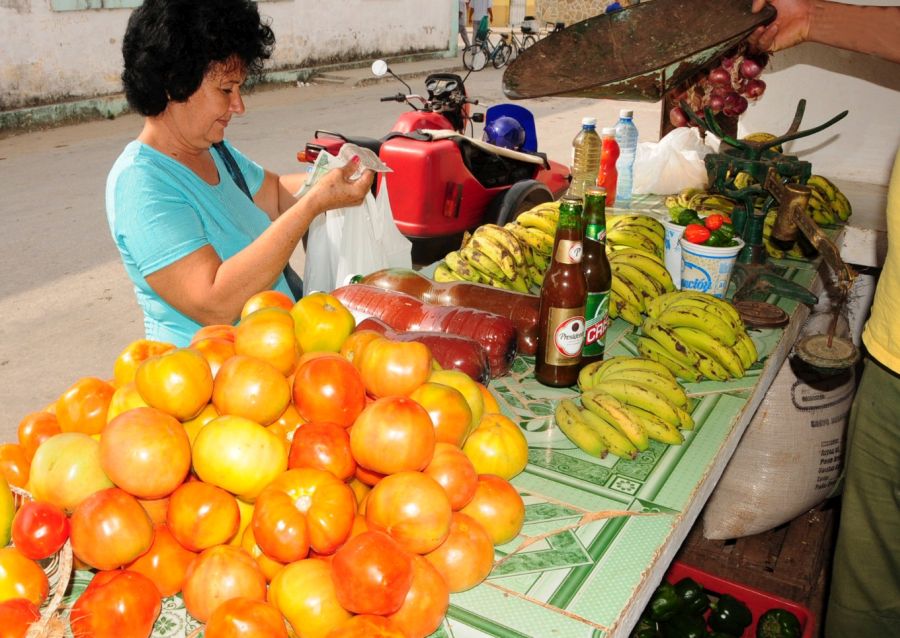 sancti spiritus, agricultura, acopio, revendedores, comercializacion