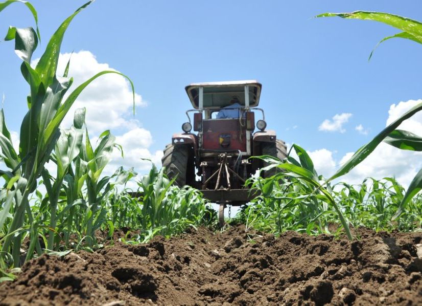 sancti spiritus, agricultura, campesinos, 