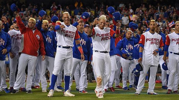 clasico mundial de beisbol, estados unidos, puerto rico, cuba, besisbol