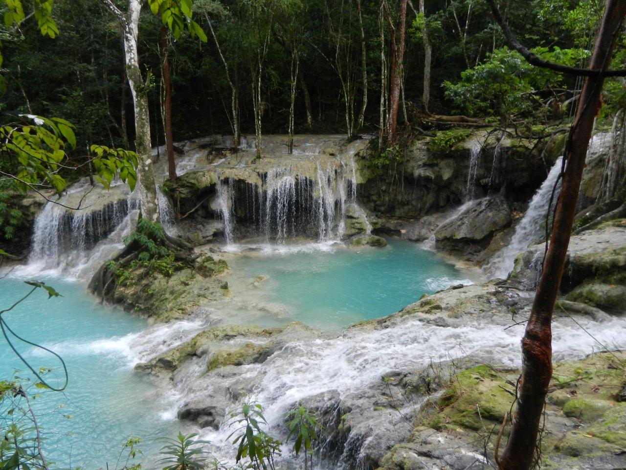 Flora y Fauna, Sancti Spíritus