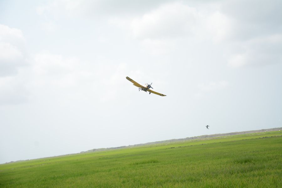 sancti spiritus, arroz, arrocera sur del jibaro, molino de arroz, aviacion