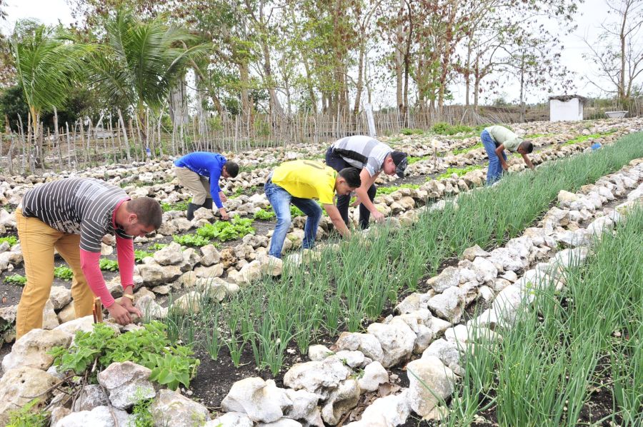 sancti spiritus, educacion, enseñanza tecnico y profesional, etp, enseñanza secundaria basica