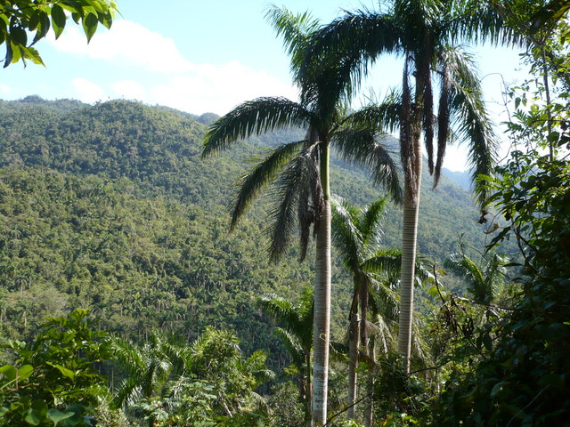 medio ambiente, cambio climático, Cuba, CITMA