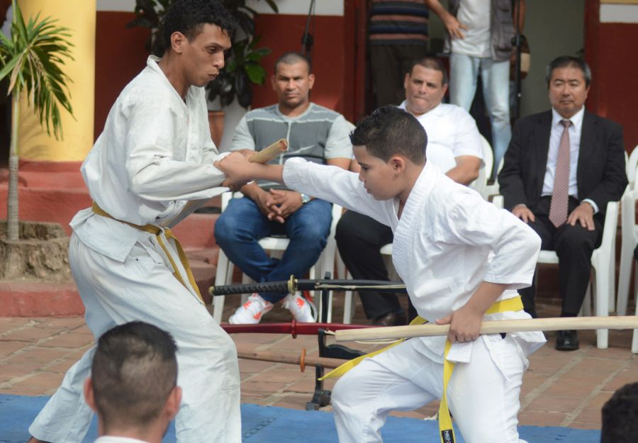 sancti spiritus, japon, jornada de la cultura japonesa, artes marciales, casa de la guayabera, frederich cepeda