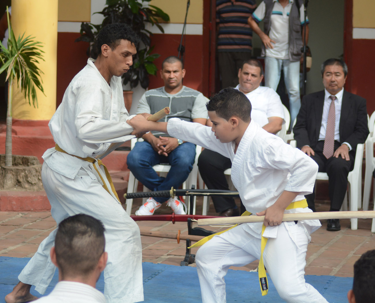 artes marciales, japón, cuba, casa de la guayabera, cultura