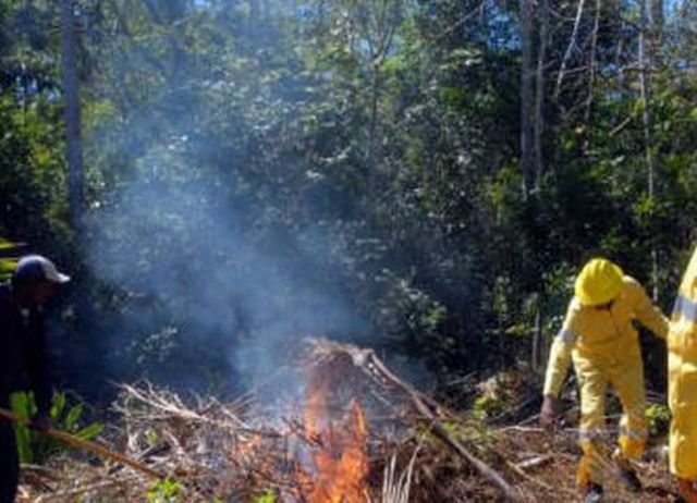 sancti spiritus, sequia, incendios forestales, guardabosques