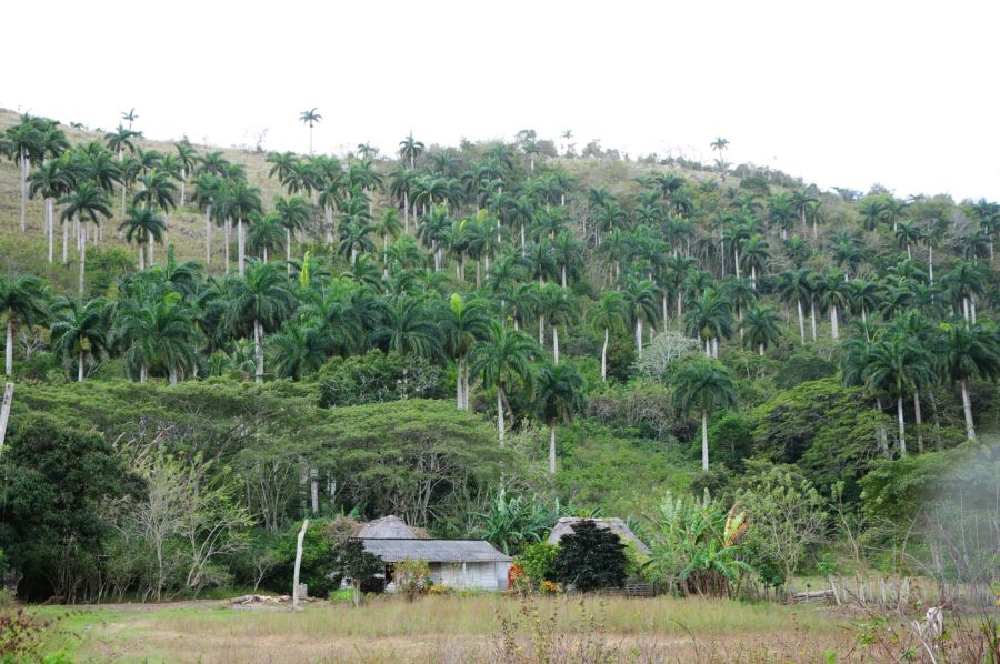 sancti spiritus, plan turquino, montañas espirituanas, escambray espirituano