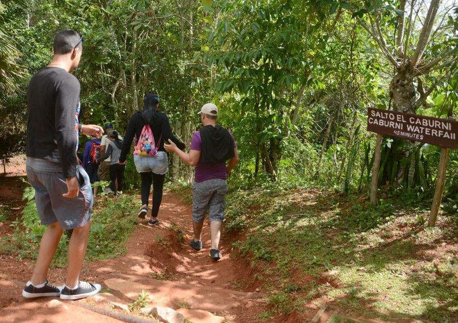 sancti apiritus, medio ambiente, dia mundial del medio ambiente, citma, topes de collantes, alturas de banao