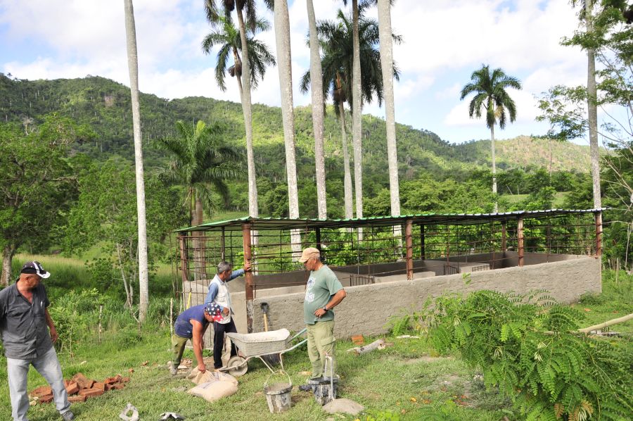 sancti spiritus, fomento, el pedrero, enseñanza tecnico profesional, educacion