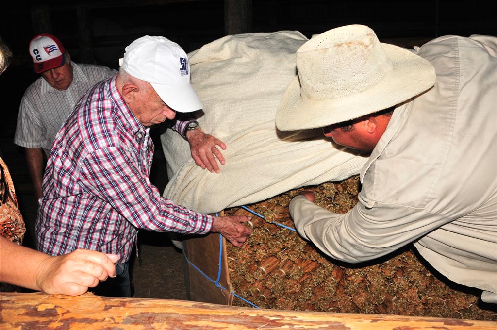 tabaco, Cabaiguán, Sancti Spíritus, Machado Ventura, Cuba