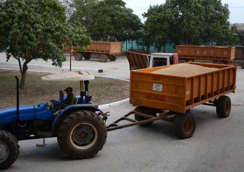 sancti spiritus, la sierpe, sur del jibaro, cai arrocero sur del jibaro