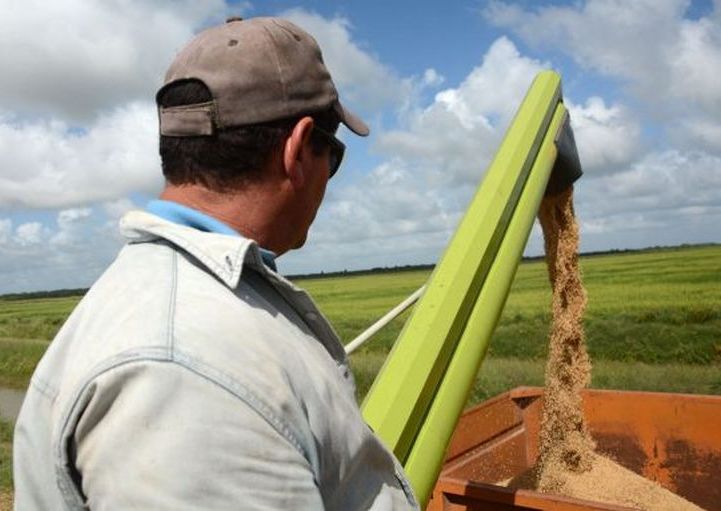 sancti spiritus, la sierpe, sur del jibaro, cai arrocero sur del jibaro