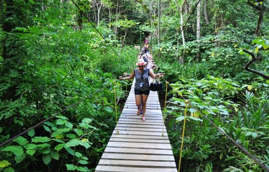 Toles de Collantes, naturaleza, eventos, Trinidad, Sancti Spíritus