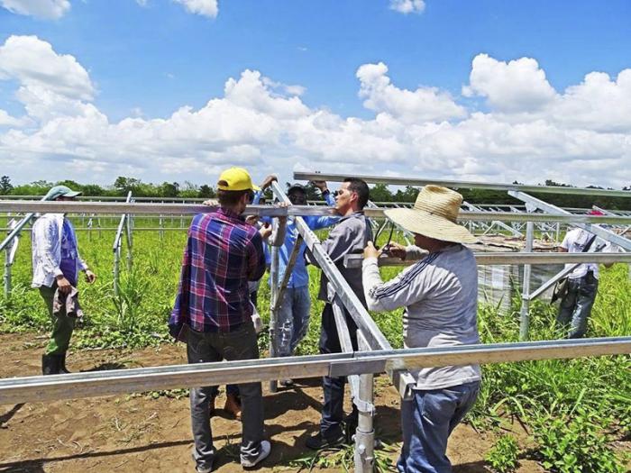 sancti spiritus, empresa electrica, parque solar fotovoltaico, jovenes