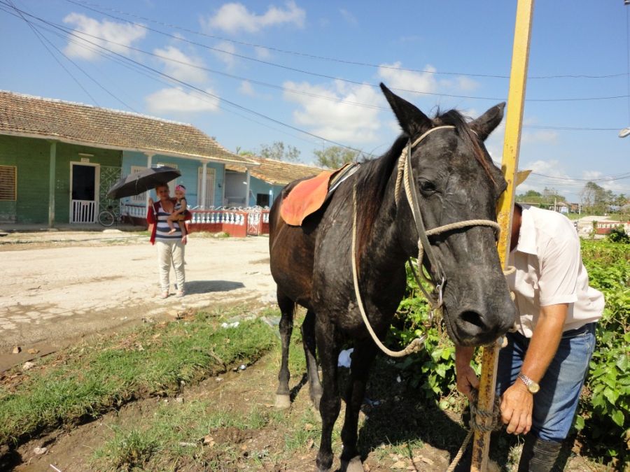 sancti spiritus, huracan irma, jarahueca, yaguajay, agricultura