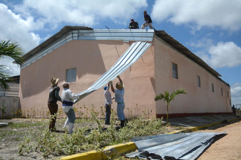 huracán Irma, porcino, agricultura, Yaguajay, Sancti Spíritus