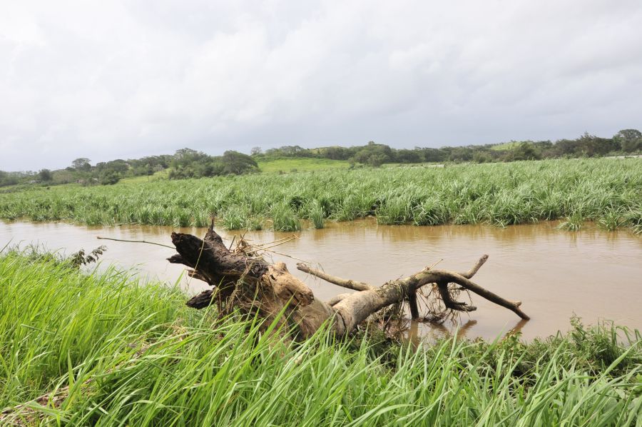 sancti spiritus, huracan irma, defensa civil, intensas lluvias, agricultura