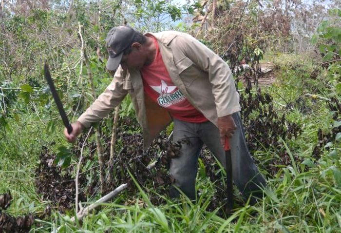 sancti spiritus, huracan irma, cafe, topes de collantes, granma, trinidad