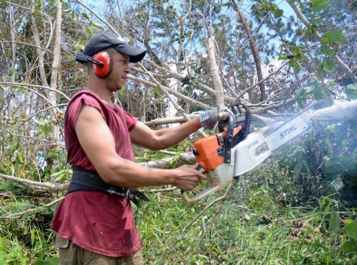 café, Sancti Spíritus, huracán Irma, recuperación