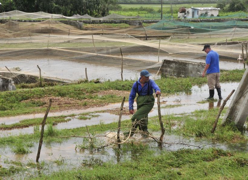 huracan irma, la sierpe, taguasco, defensa civil, estacion de alevinaje, sur del jibaro