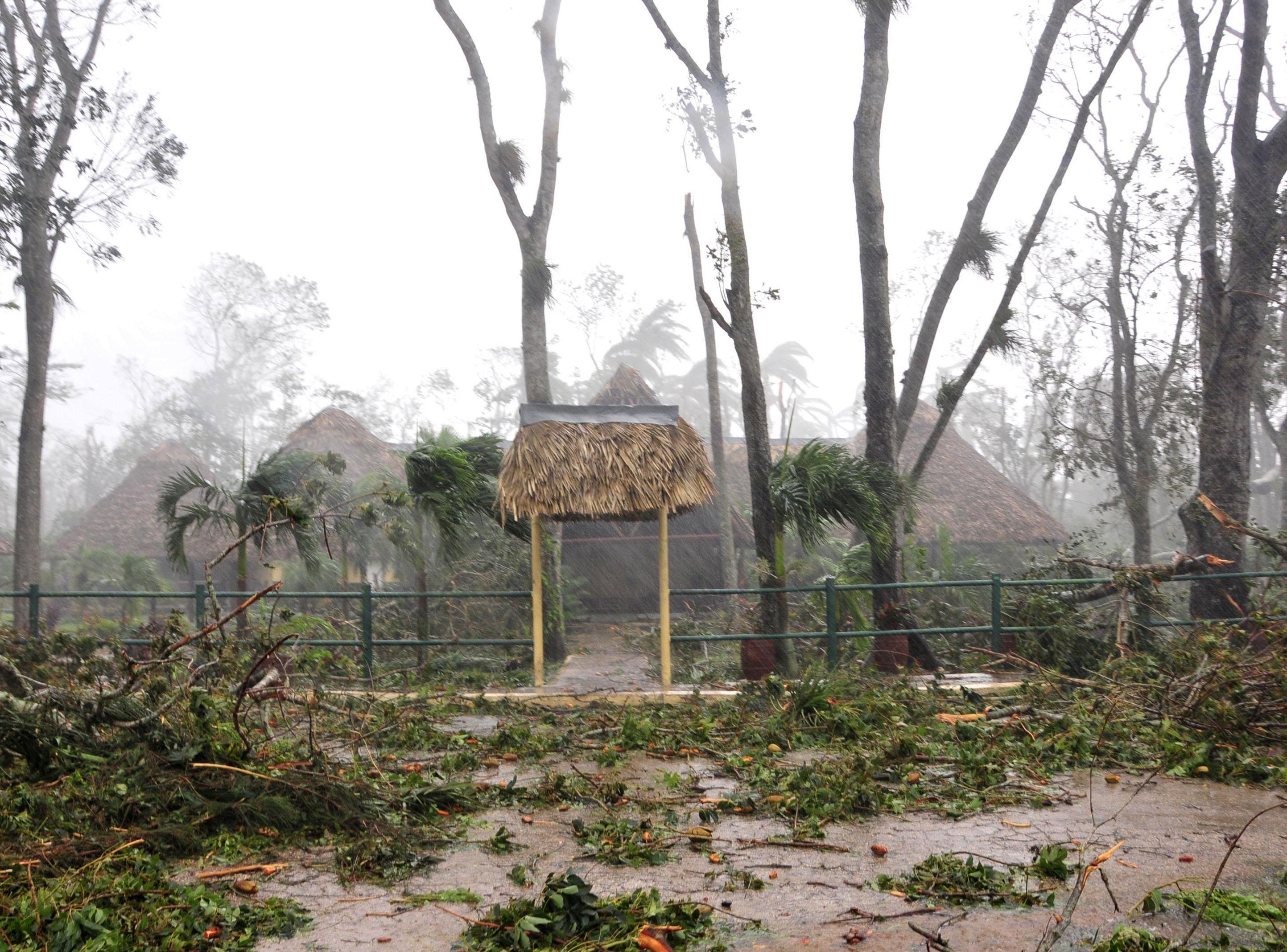 sancti spiritus, huracan irma, flora y fauna, alturas de banao