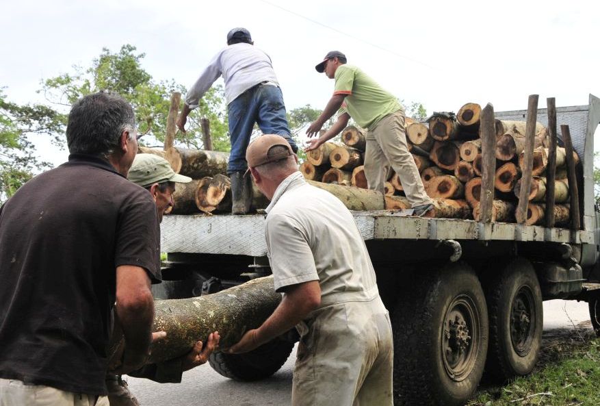 sancti spiritus, huracan irma, vivienda, forestal, madera, yaguajay