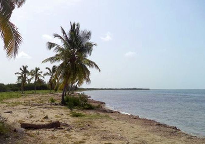 sancti spiritus, ciencia y tecnica, medio ambiente, citma, huracan irma, peninsula de ancon, litoral sur