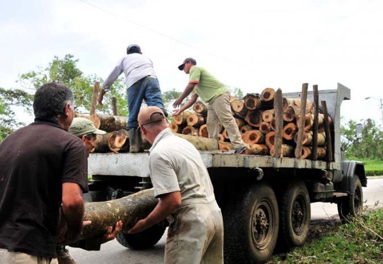 sancti spiritus, huracan irma, cafe, flora y fauna