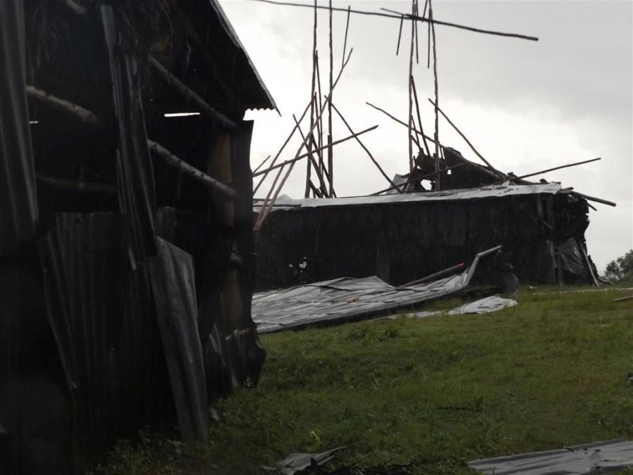 seguro, tabaco, huracán Irma, recuepración