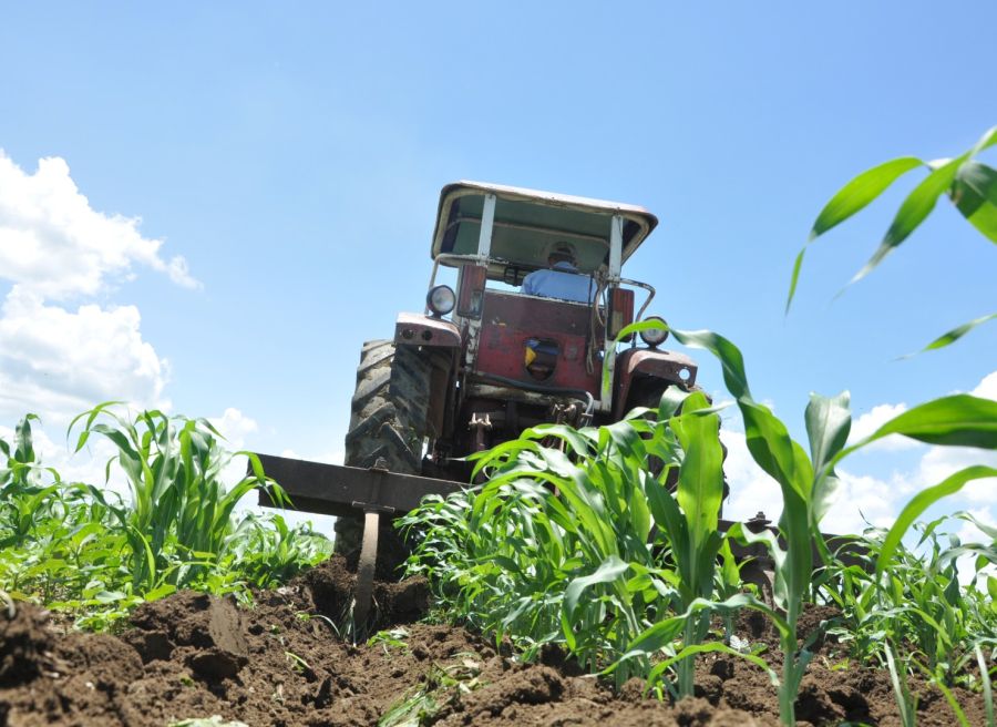 granos, importaciones, máiz, sorgo, Sancti Spíritus