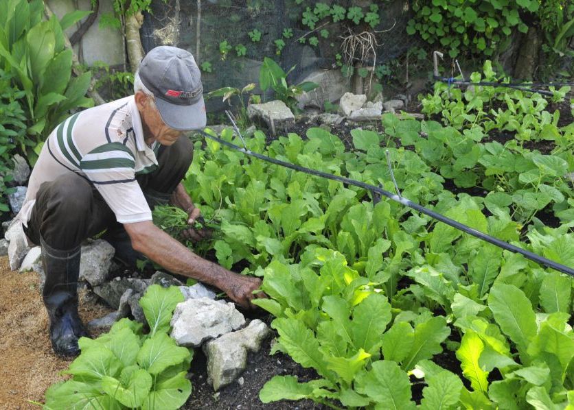 sancti spiritus, asamblea provincial del poder popular, recuperacion