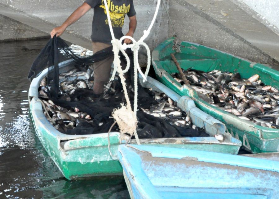 sancti spiritus, pesca, presa zaza