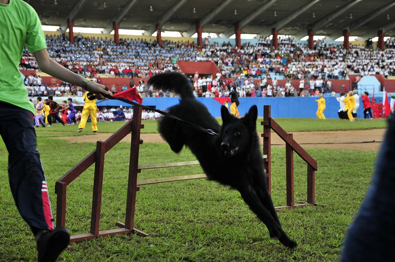 Día de la Cultura Física y el Deporte, Sancti Spíritus, Cuba