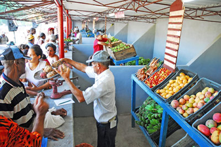 Parlamento, agroalimentaria