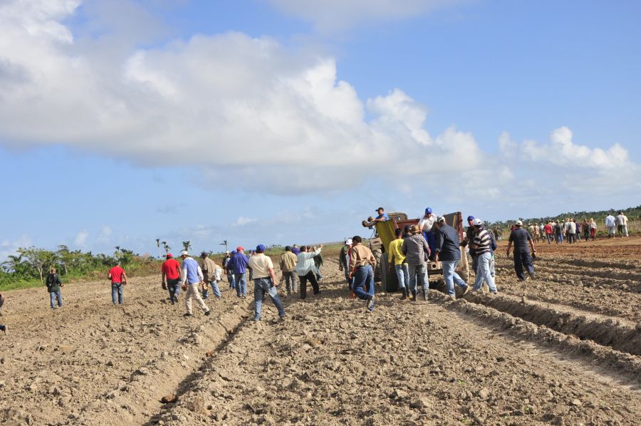 sancti spiritus, revolucion cubana, trabajo voluntario, yaguajay, 